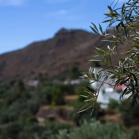 Casa de Férias Casa Perilla Temisas