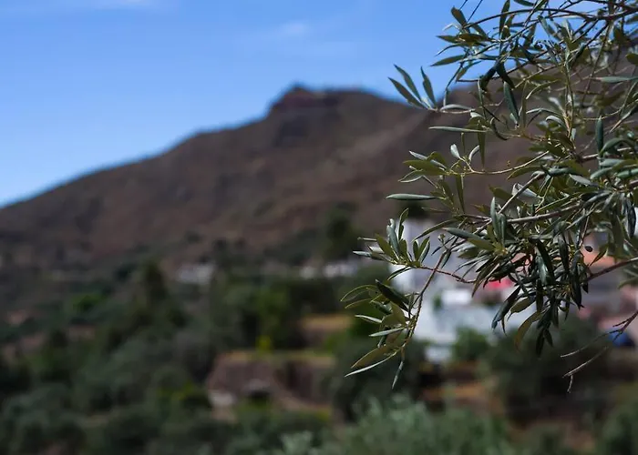 別荘 Casa Perilla Temisas